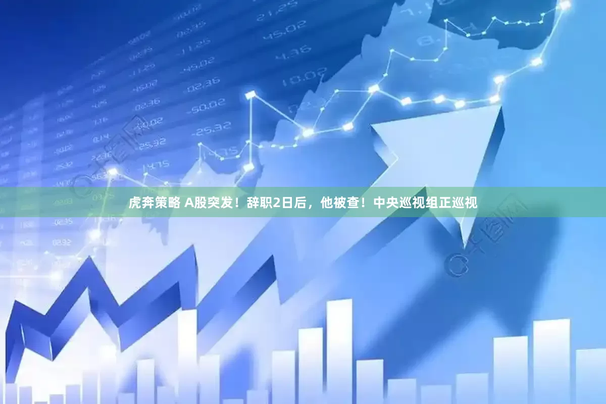 虎奔策略 A股突发！辞职2日后，他被查！中央巡视组正巡视