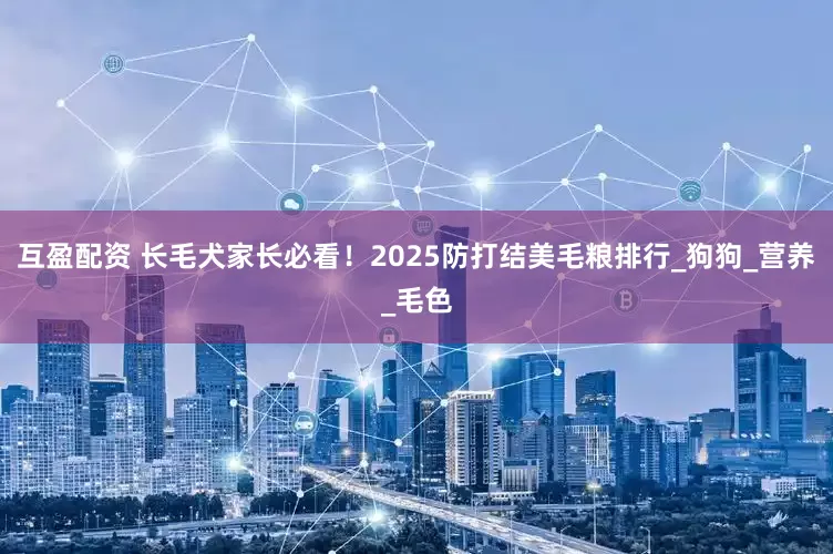互盈配资 长毛犬家长必看！2025防打结美毛粮排行_狗狗_营养_毛色