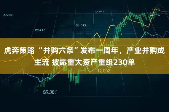 虎奔策略 “并购六条”发布一周年，产业并购成主流 披露重大资产重组230单